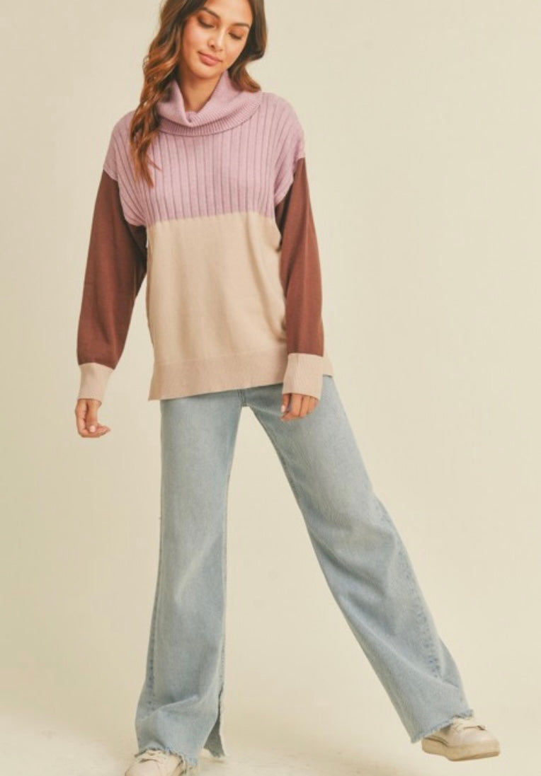 Pricilla Cowlneck Colorblock Sweater